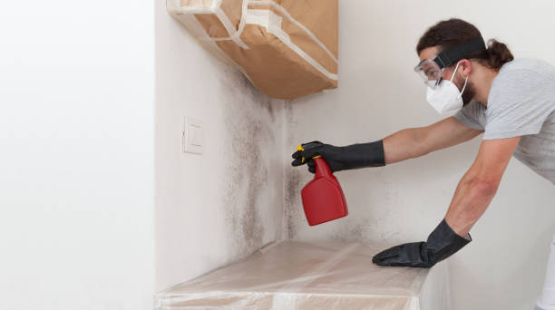Professional Mold Removal technician working in Durham, OR